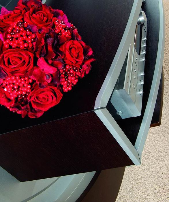 STAR GATE MODERN WENGE+METALSILVER PARTIC.(1).jpg