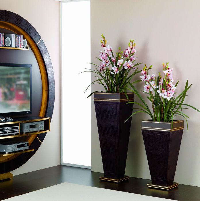 VASES COCCO TESTA MORO.jpg