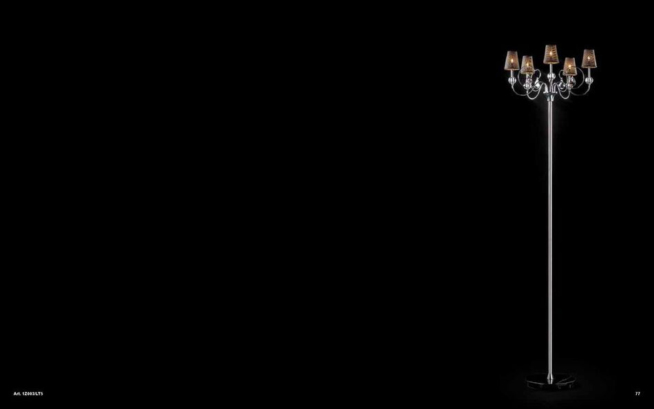 LightLine0040.jpg